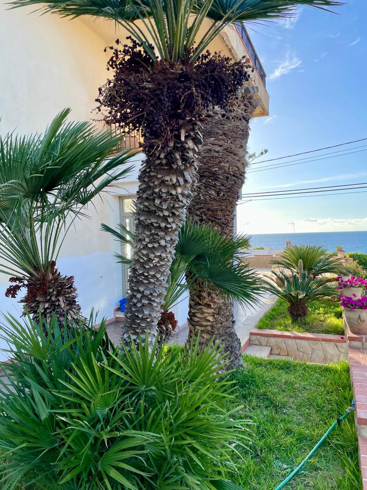 Villa Sul Mare Palazzolo Trappeto  Buitenkant foto